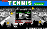 Pro Tennis Simulator