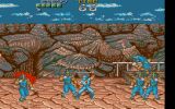 Shadow Warriors