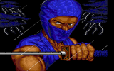 Shadow Warriors