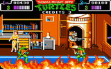 Teenage Mutant Hero Turtles: The Coin-Op!
