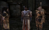 Dragon Age: Origins