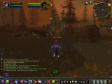 World of Warcraft